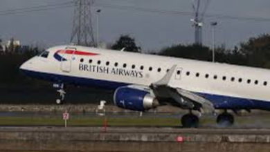 British Airways Steward Died